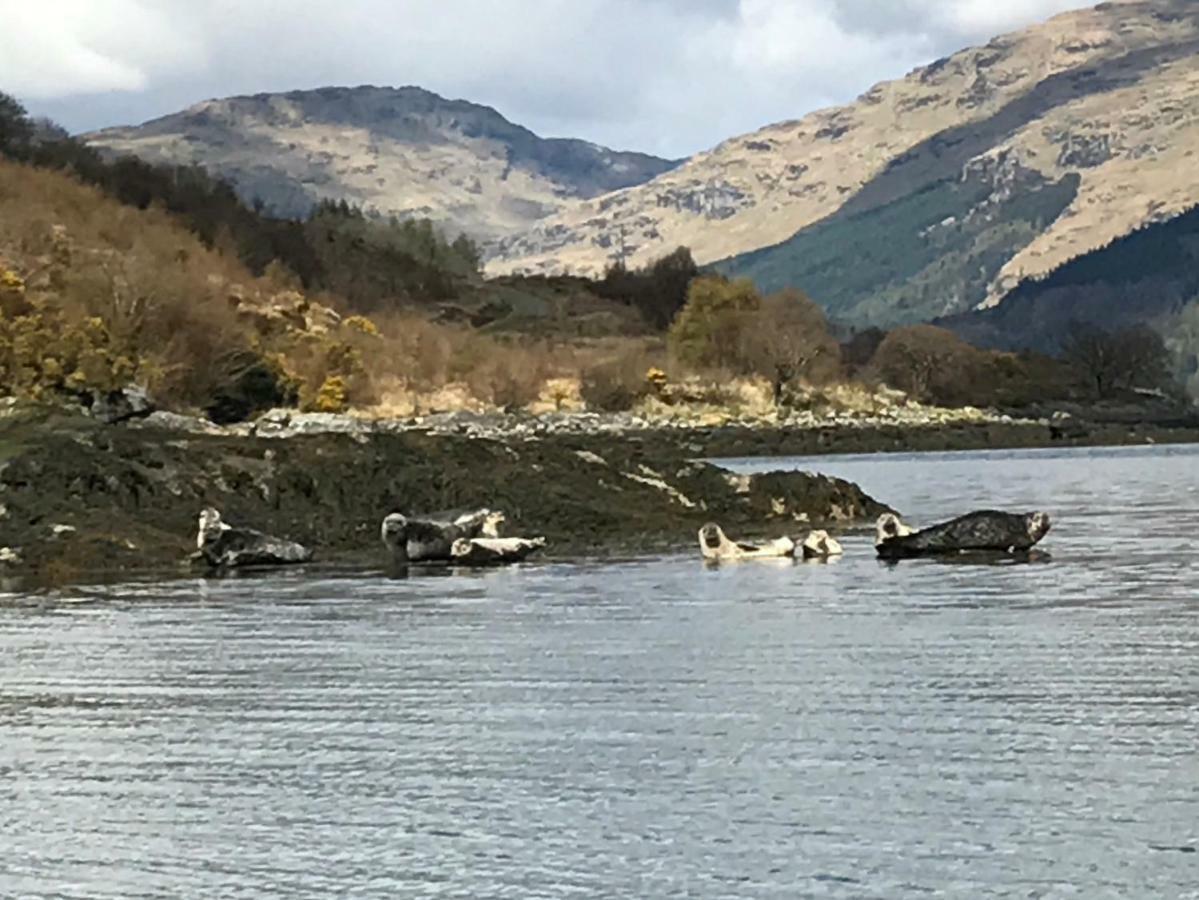 Carrick Farm Hotel Lochgoilhead Ngoại thất bức ảnh